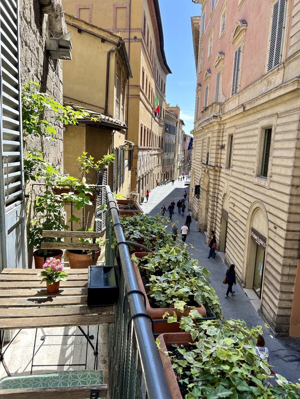 Quadruple Room | View from room