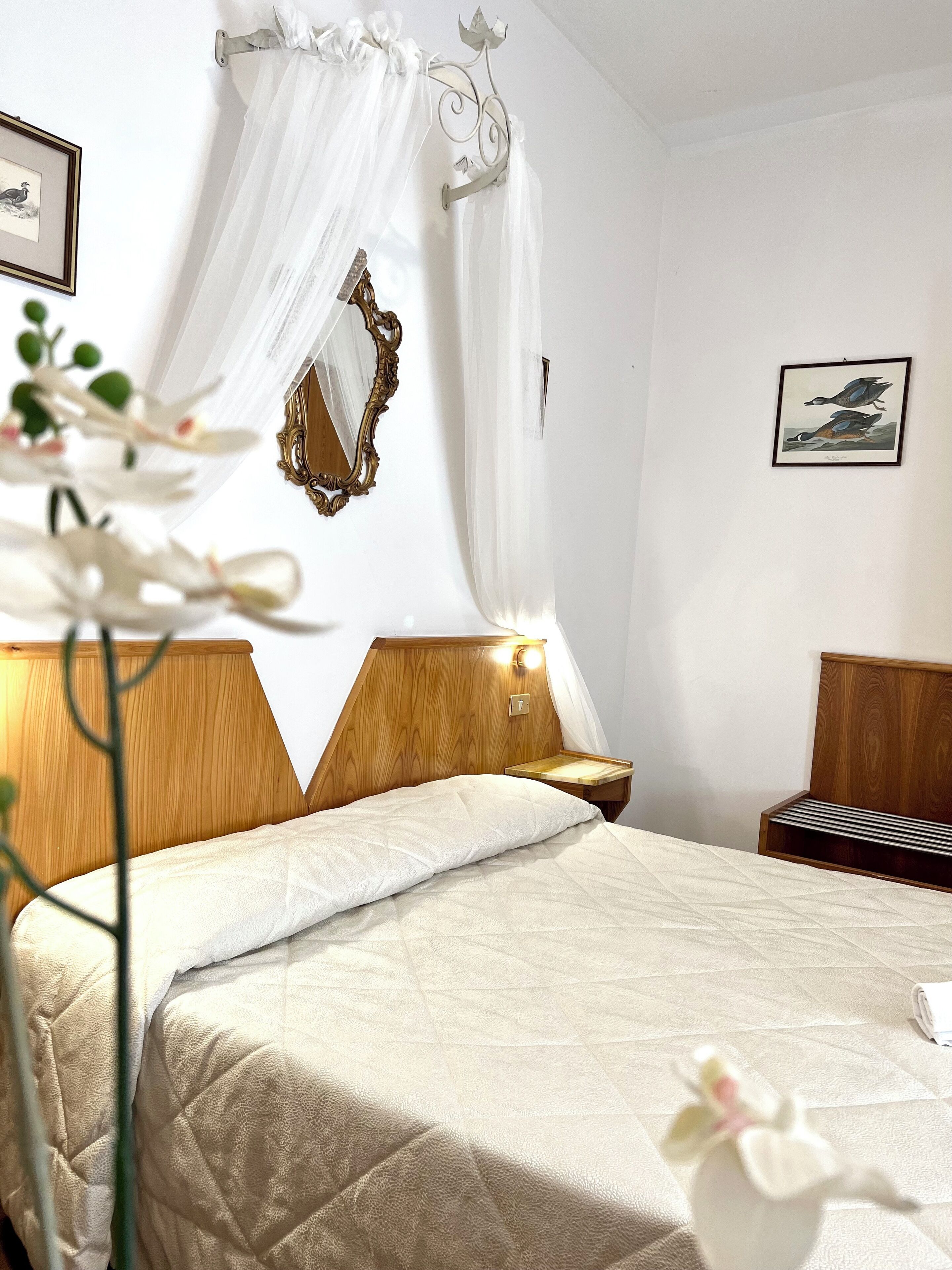 Chambre Double Standard