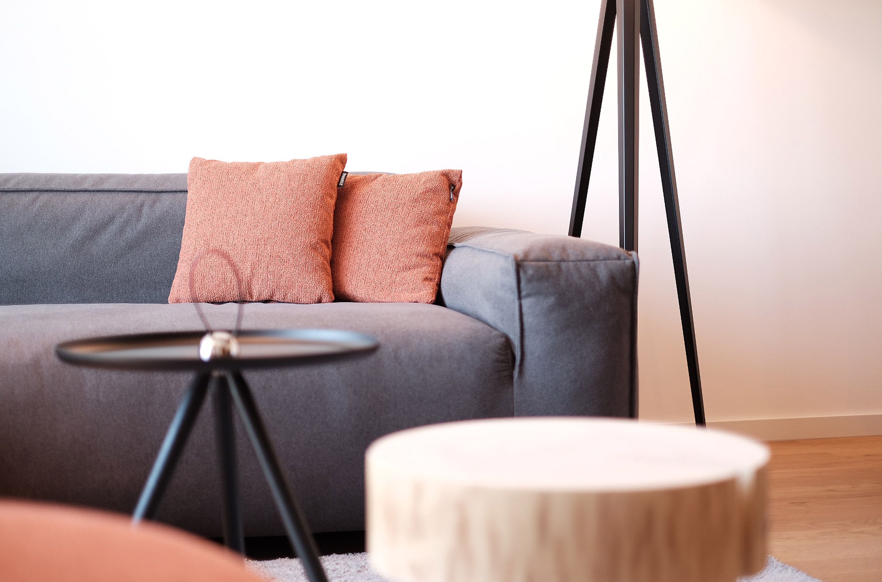 A modern living room with a grey sofa, two pink cushions, a small round wooden table, and a floor lamp.