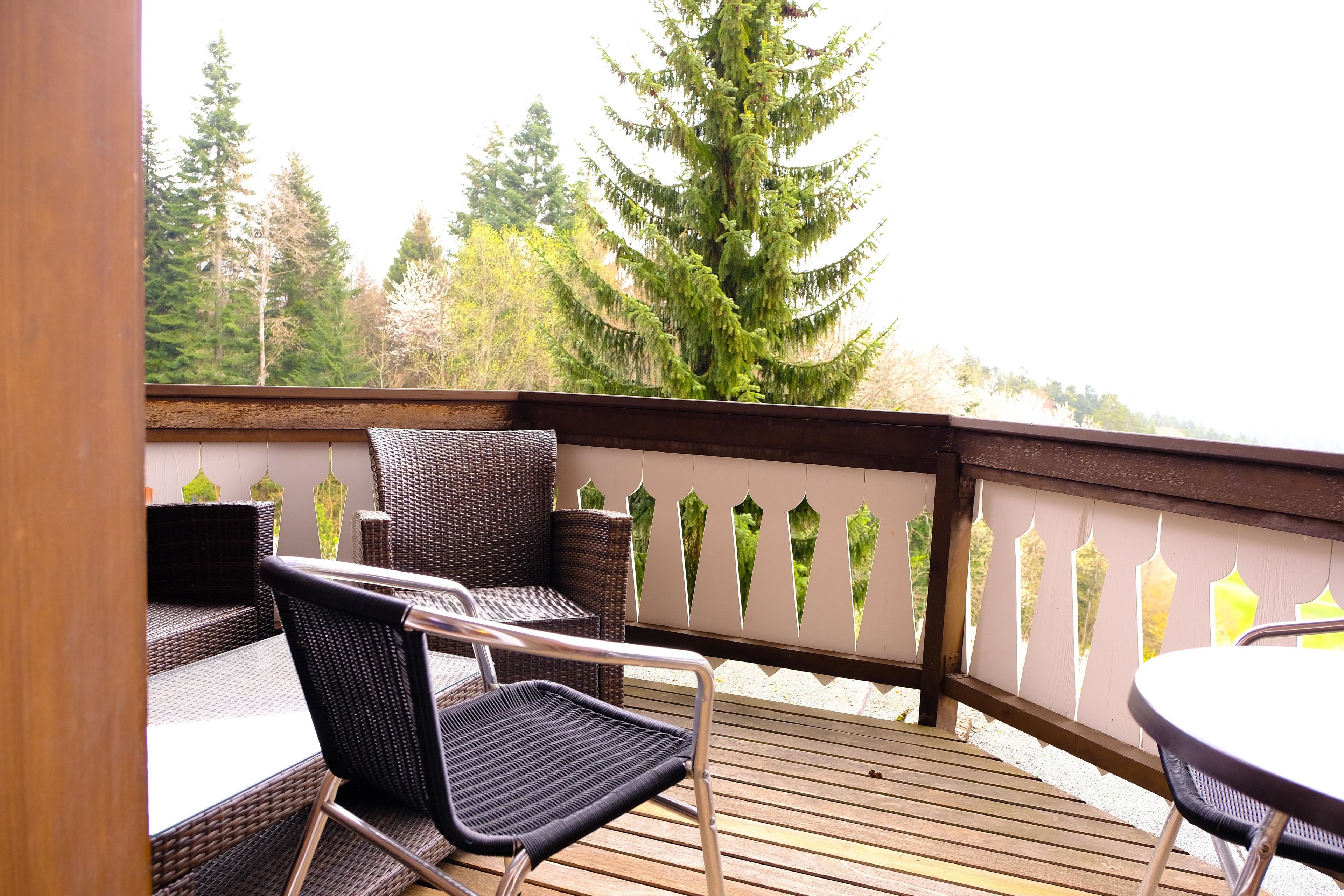 basic double room, mountain view, mountainside | terrace/patio