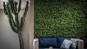 A cactus plant, a blue sofa with patterned cushions, and a round woven table with a glass object on it. - Serenity Spritz Hotel - Adults Only (Hersonissos)