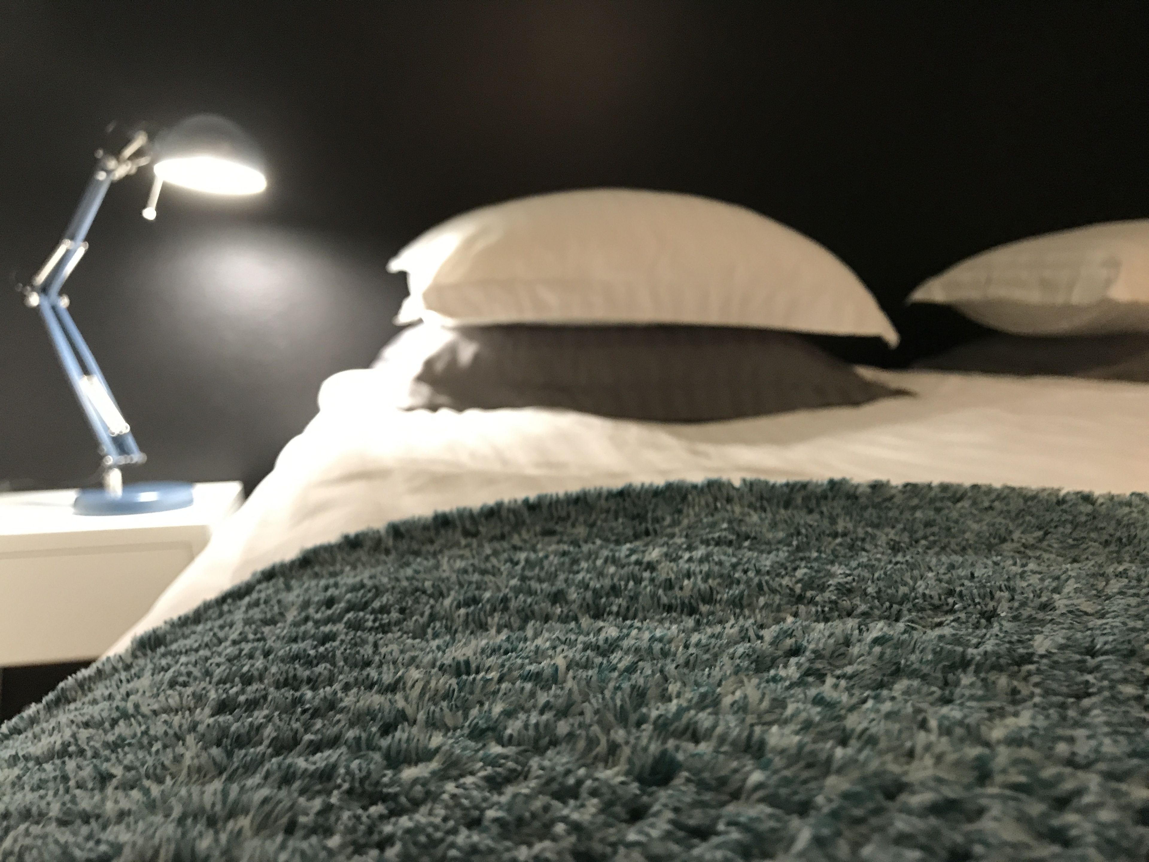 A bed with a blue blanket, white pillows, and a bedside lamp.