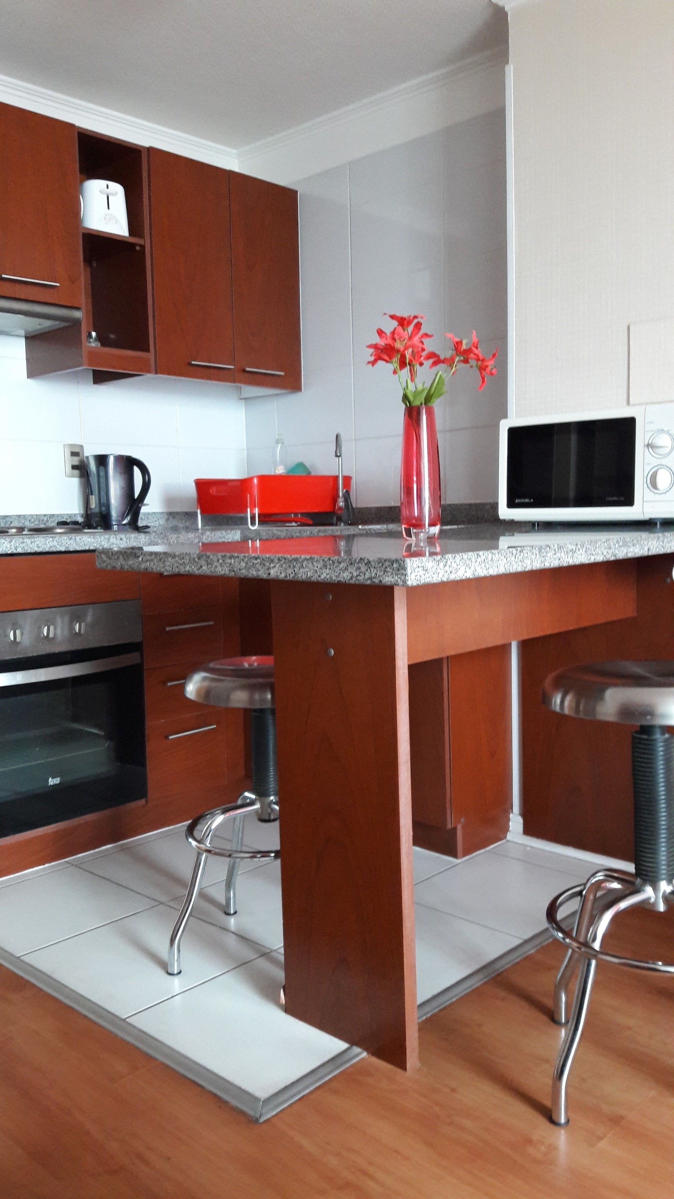 Apartamento estándar, 1 cama doble | Cocina privada | Frigorífico, microondas, horno y placa de cocina