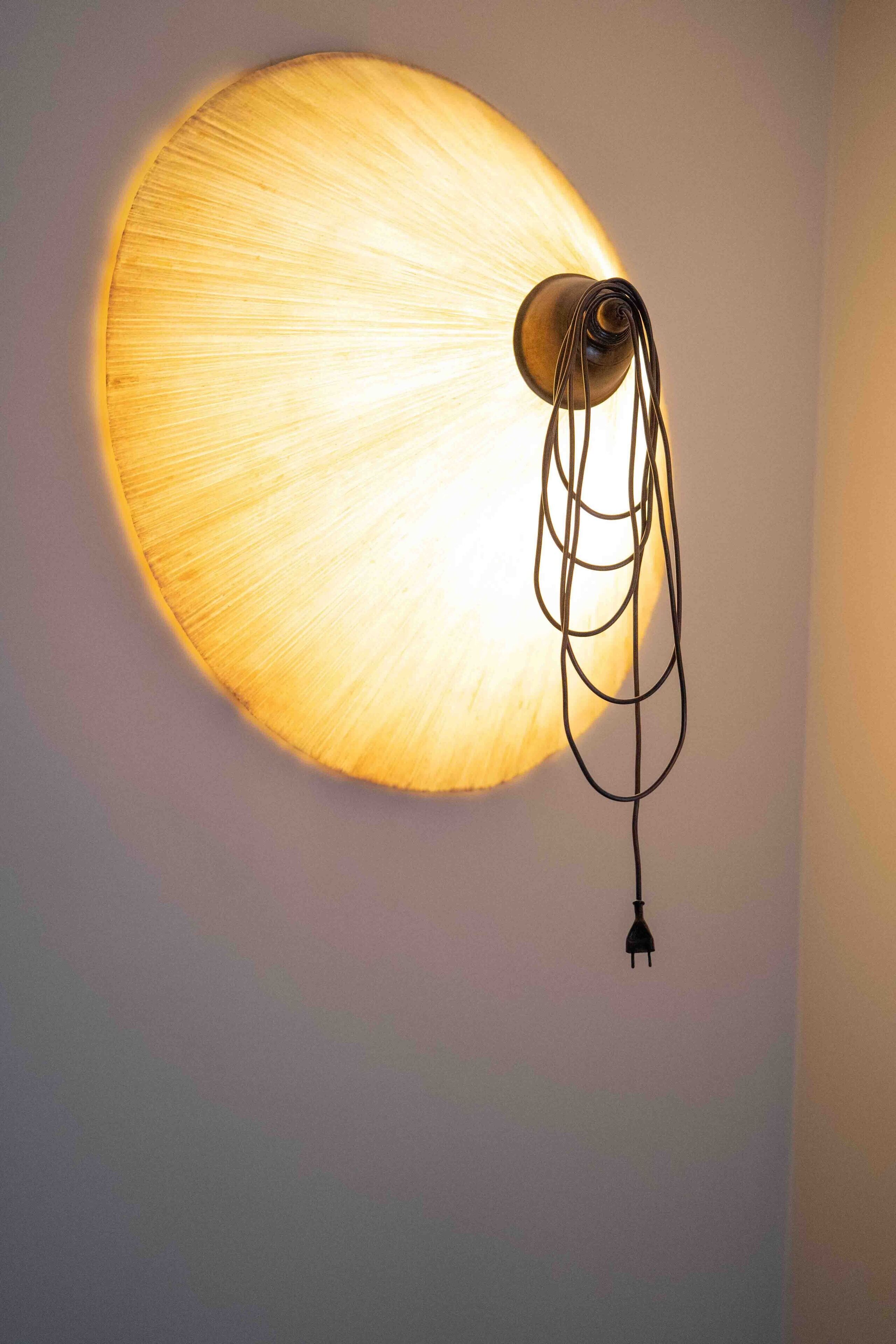 A wall-mounted lamp with a circular shade and a hanging cord.