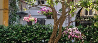 Atelier Inès B&B Home Gallery