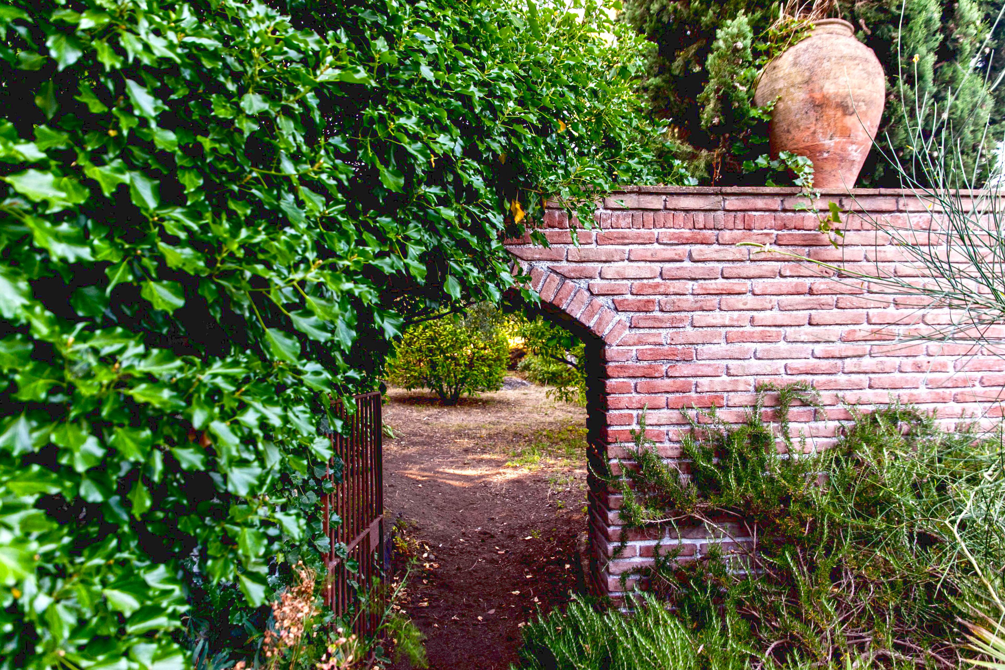 Foto - Etna Botanic Garden