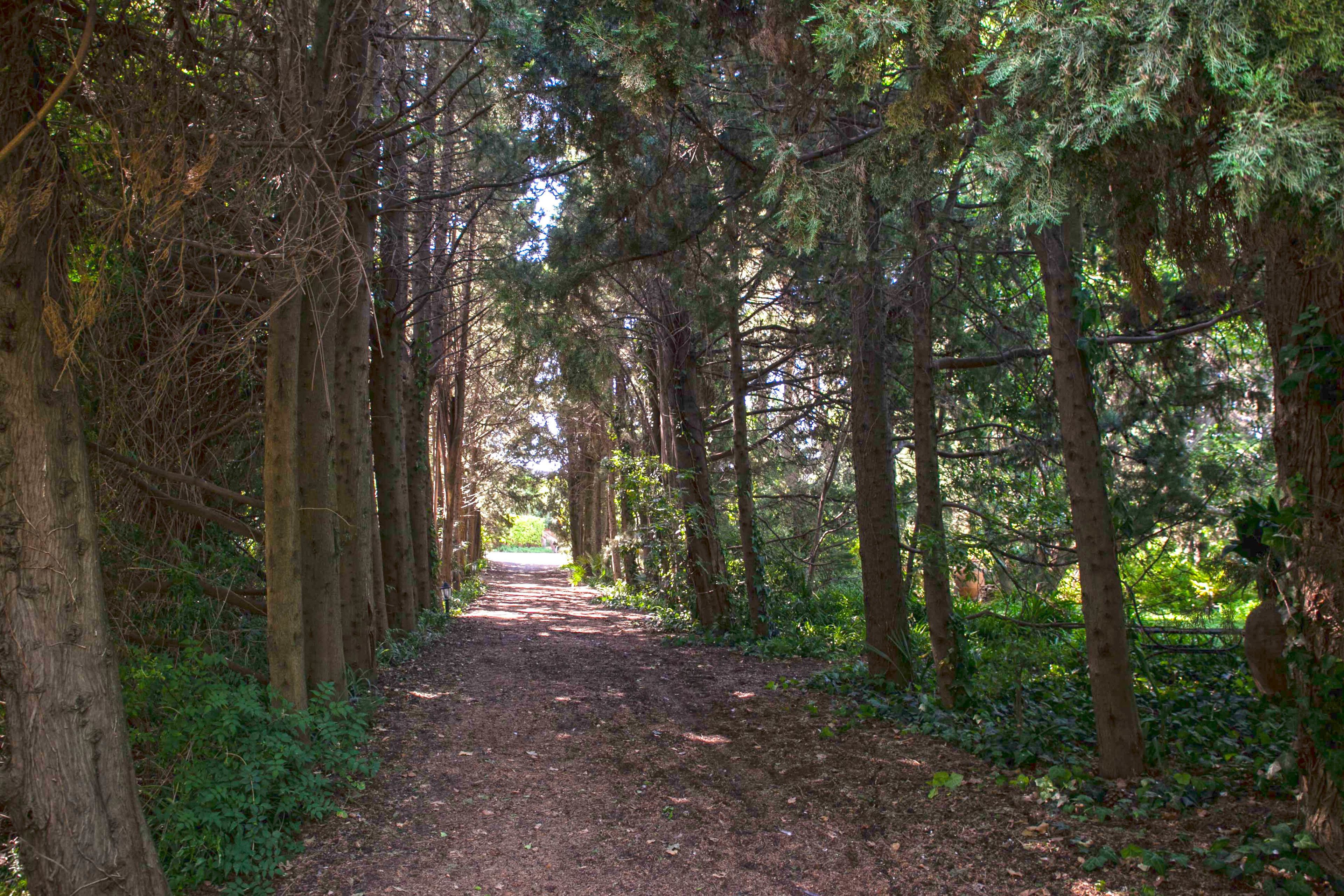 Foto - Etna Botanic Garden
