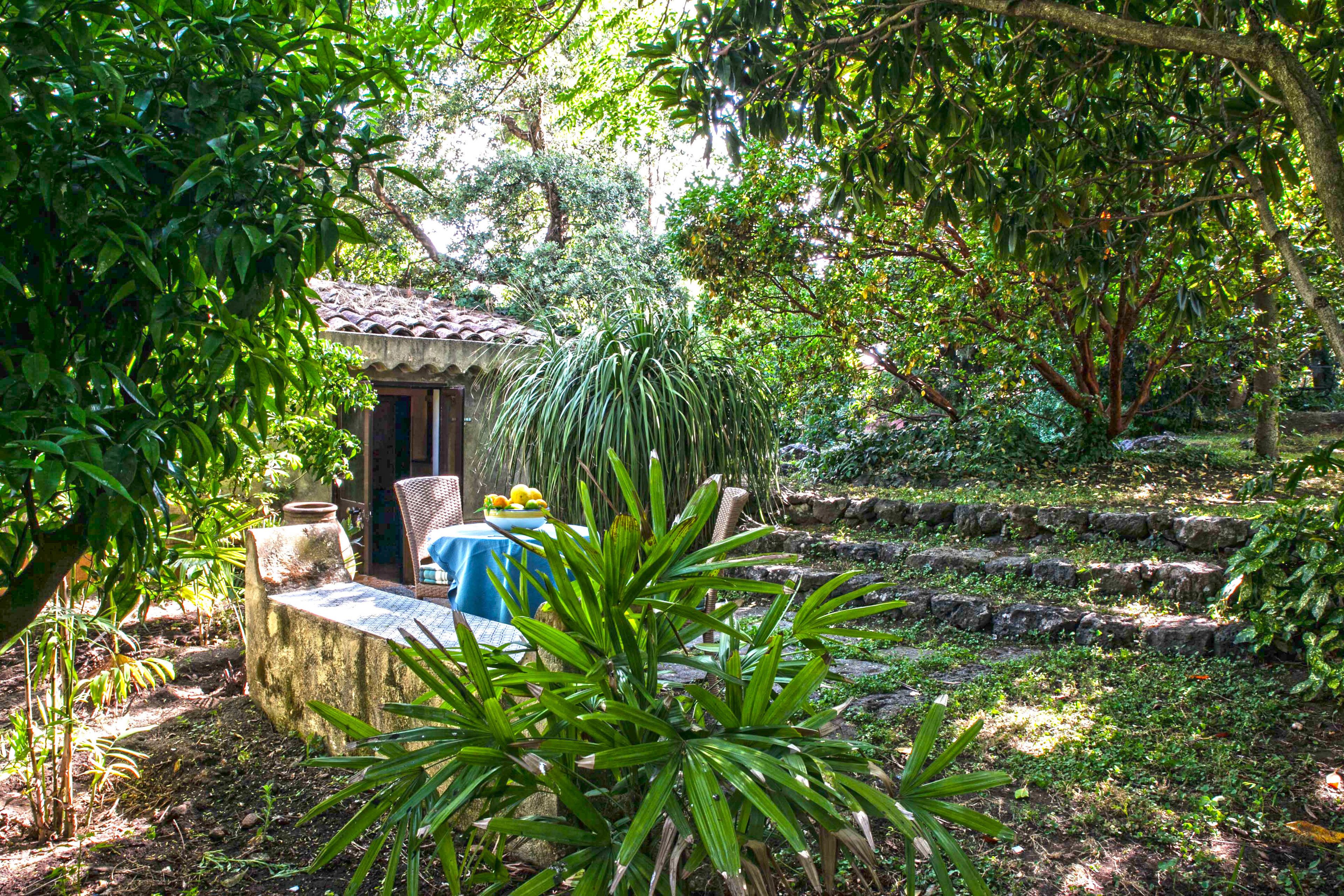 Foto - Etna Botanic Garden