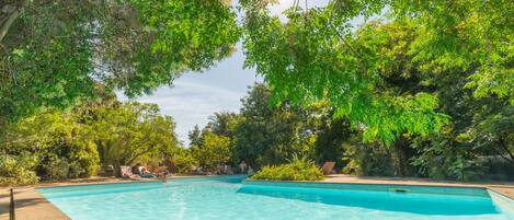 Outdoor pool, sun loungers