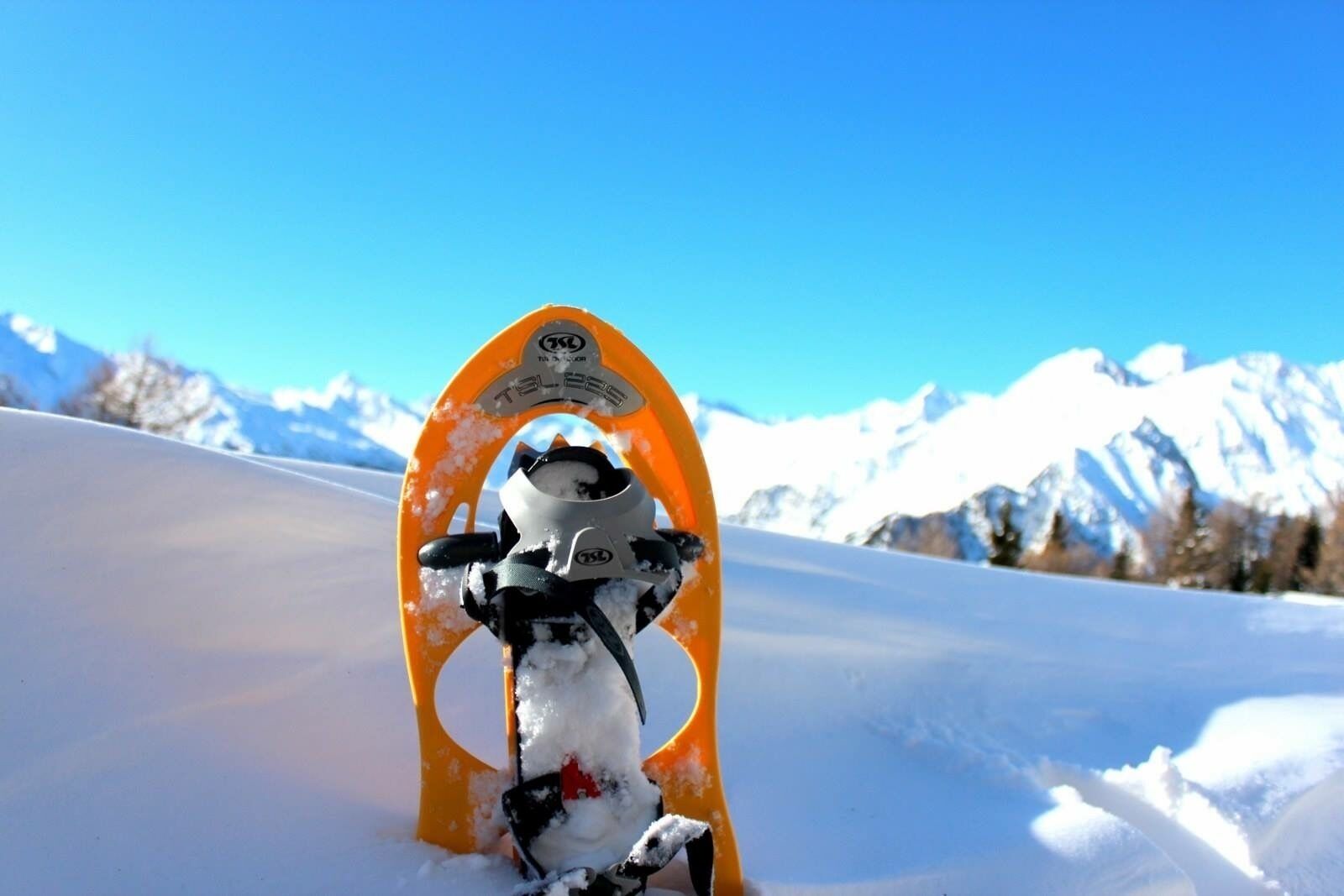 Snø- og skisport