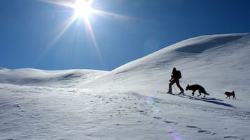 Snow and ski sports