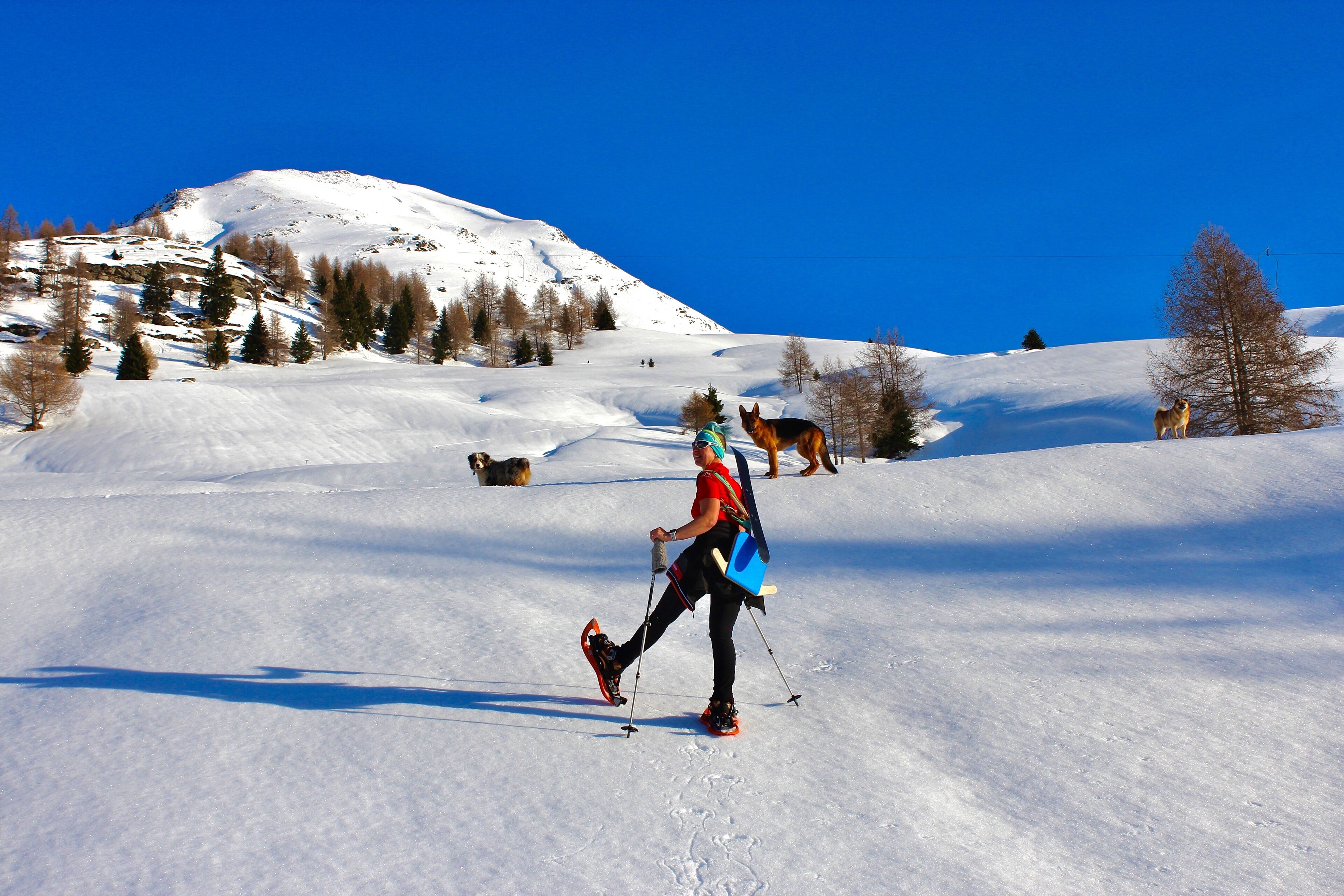 A snowy landscape with a person skiing and a dog nearby.