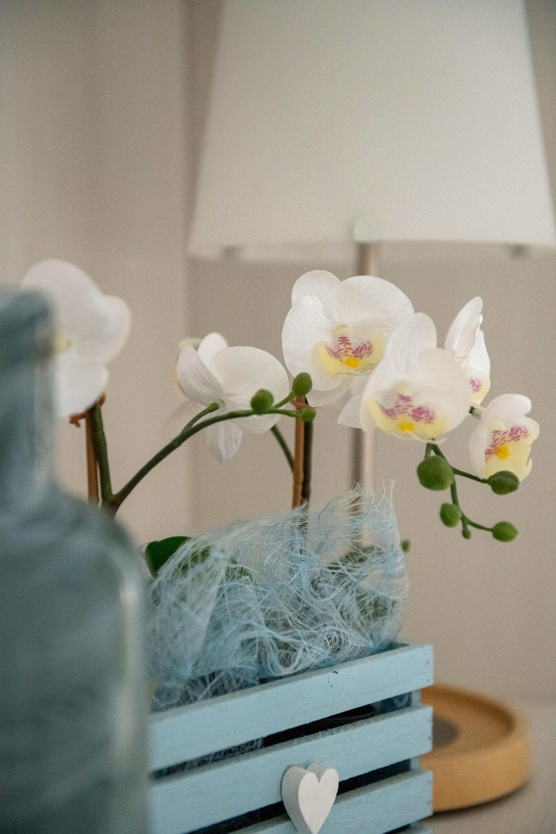 Foto - Hotel Eliseo Riccione