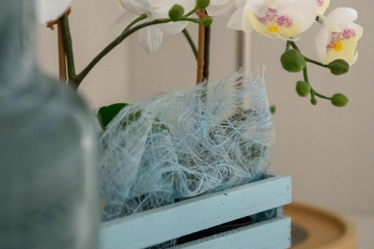 In-room safe, desk, soundproofing, free WiFi