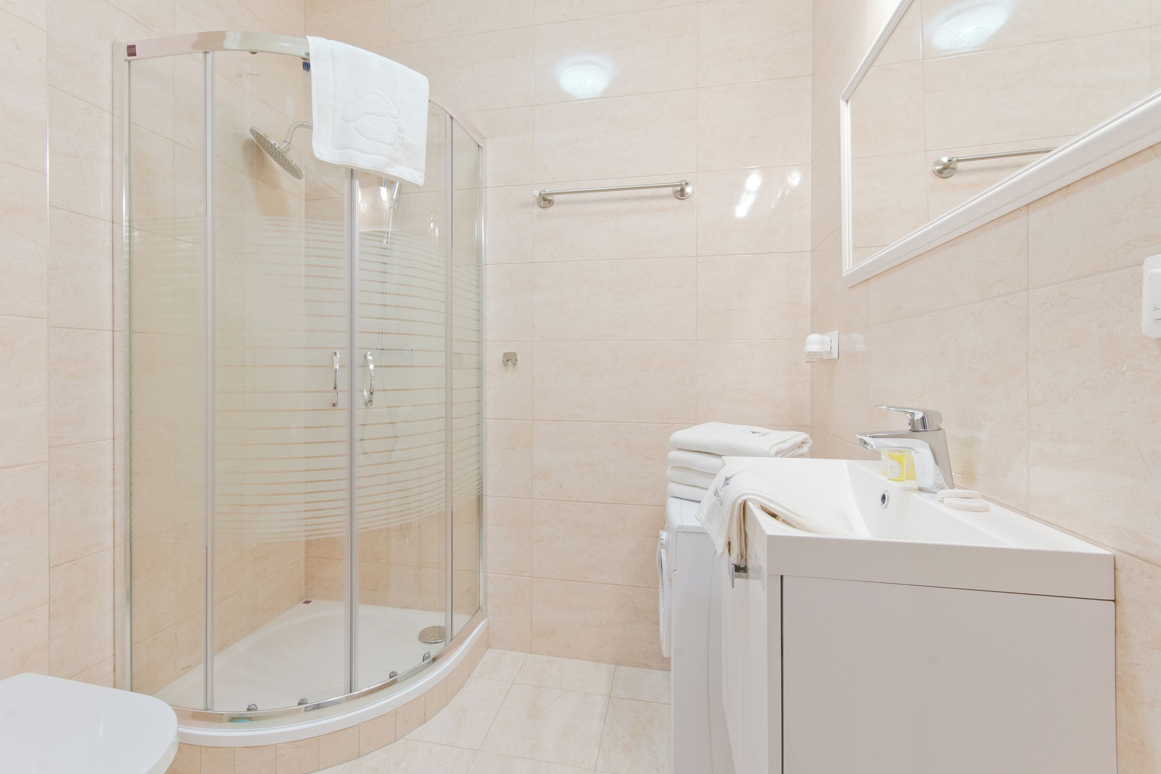 A modern bathroom with a glass-enclosed shower, a white sink, and a mirror above the sink.