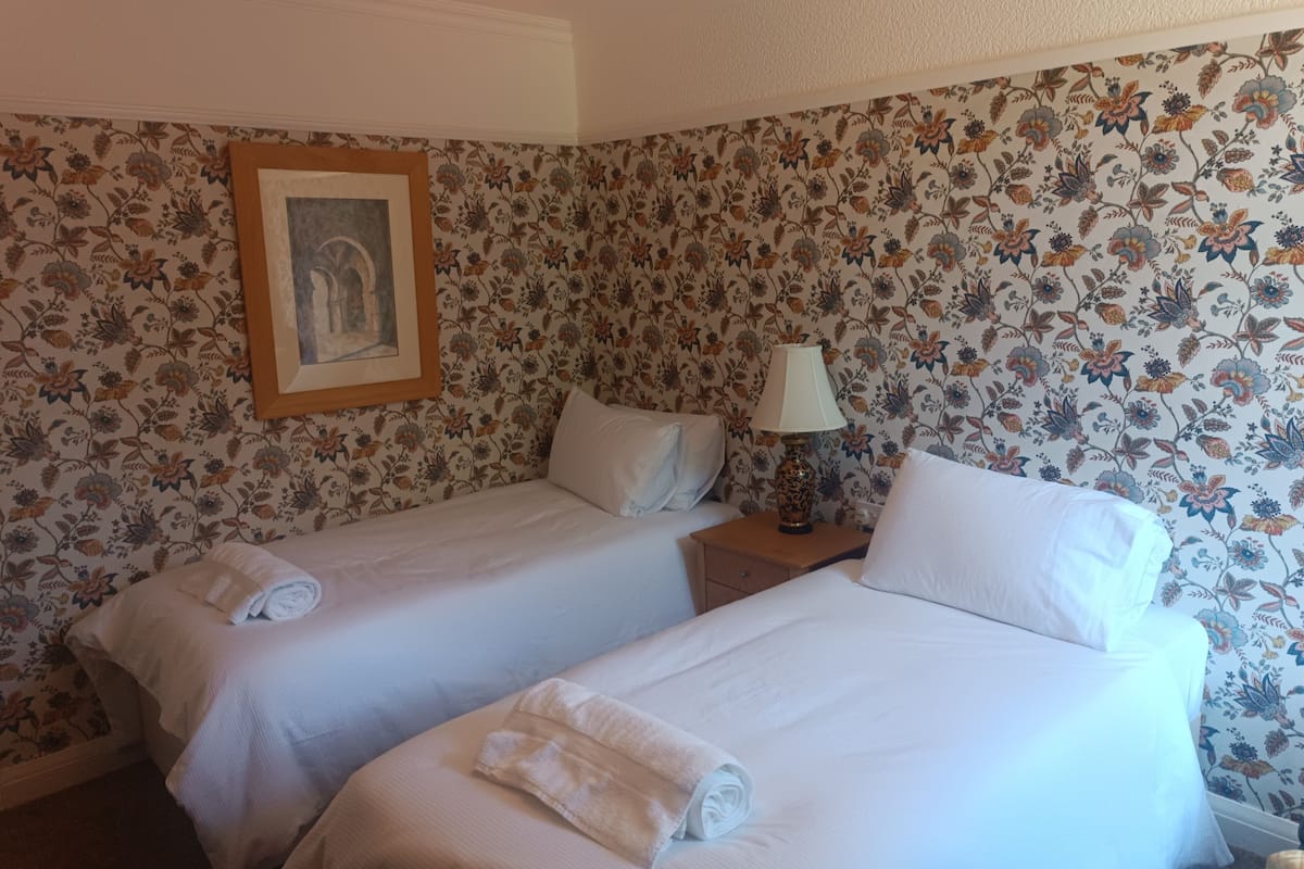 Chambre avec lits jumeaux | Wi-Fi gratuit, draps fournis