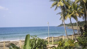 Blick auf einen Strand mit Palmen und blauem Himmel.