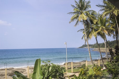 Vista desde la propiedad