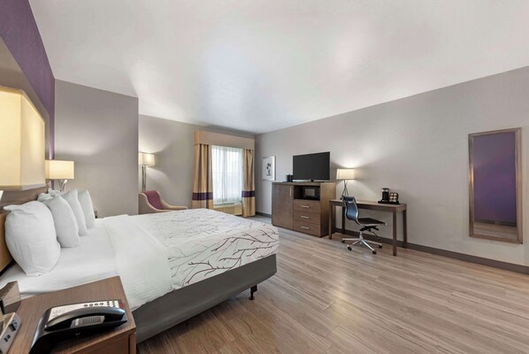 A hotel room with a large bed, a desk with a computer, a chair, a TV, and a telephone.