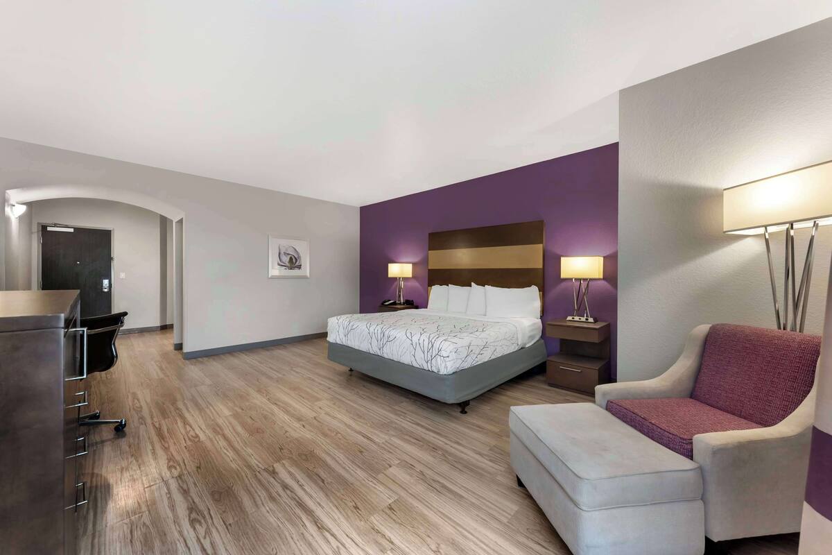 A hotel room with a bed, a desk, a chair, and a sofa.