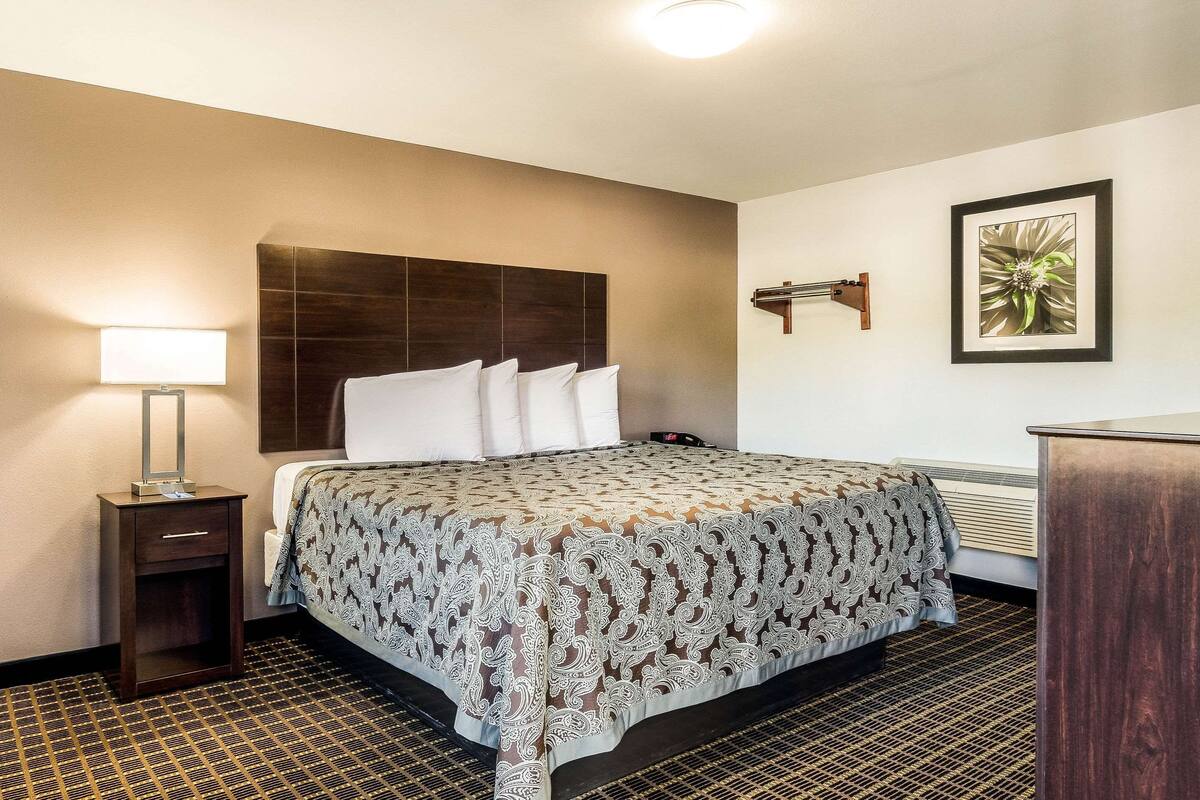 A hotel room with a large bed, a bedside table with a lamp, a wall-mounted light, and a framed picture on the wall.