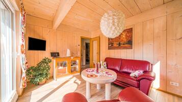 Televisio, DVD-soitin