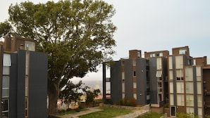 A modern apartment building with a large tree in the courtyard. - Lofts Magnolio Cerro Alegre (Valparaiso)