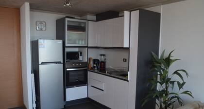 Lofts Magnolio Cerro Alegre