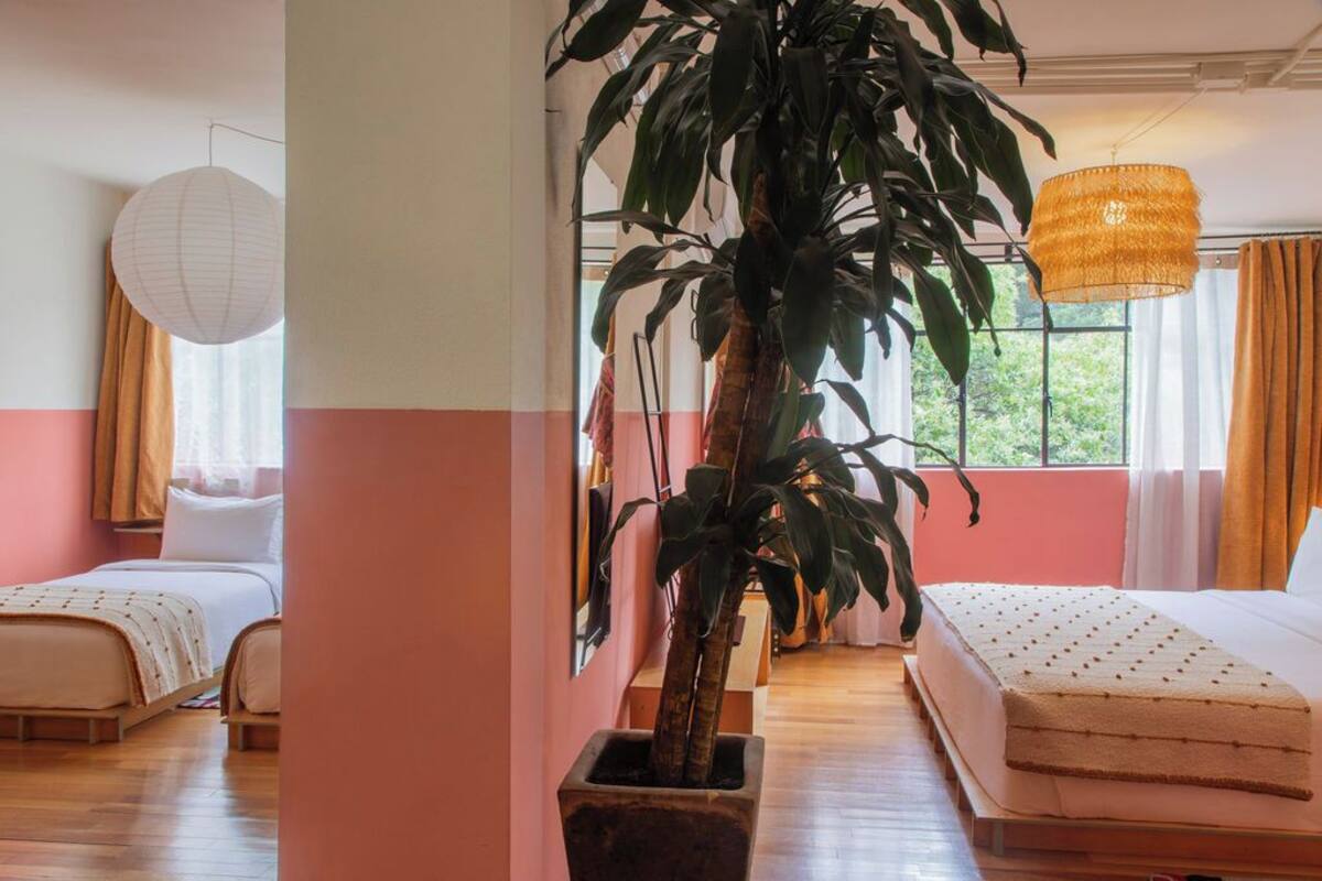 Habitación de hotel con una planta grande en maceta, una cama con colchón blanco, una mesita de noche y una lámpara colgante.