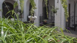 Un exuberante jardín interior con plantas colgantes y un edificio blanco con arcos al fondo.