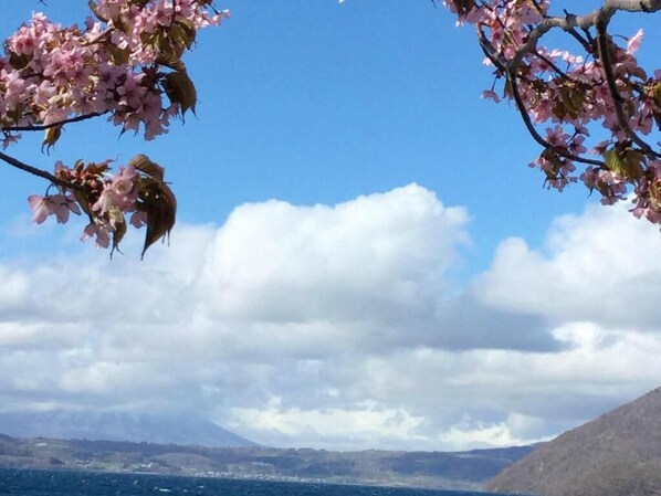 A coastal landscape with a clear sky and a view of the sea.
