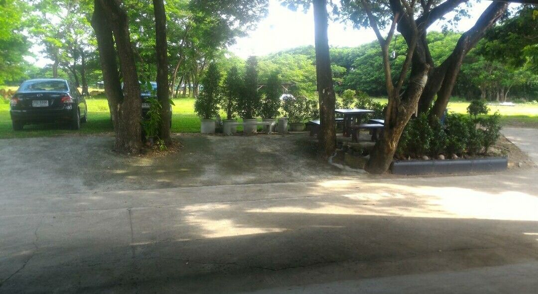 A parking area with trees and a picnic table.