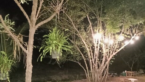A nighttime outdoor area with a lawn, a concrete path, and a wooden bench. - Loftel at Nakhon (Nakhon Si Thammarat)