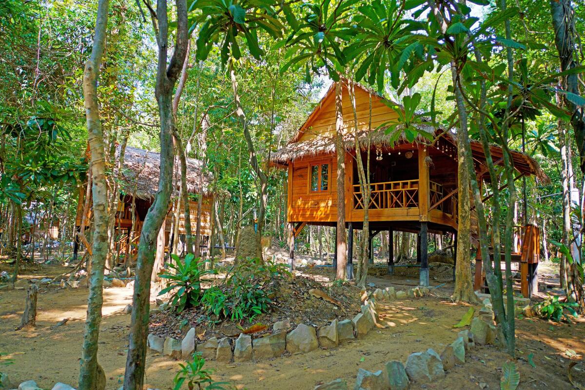 A wooden cabin elevated on stilts surrounded by dense forest.