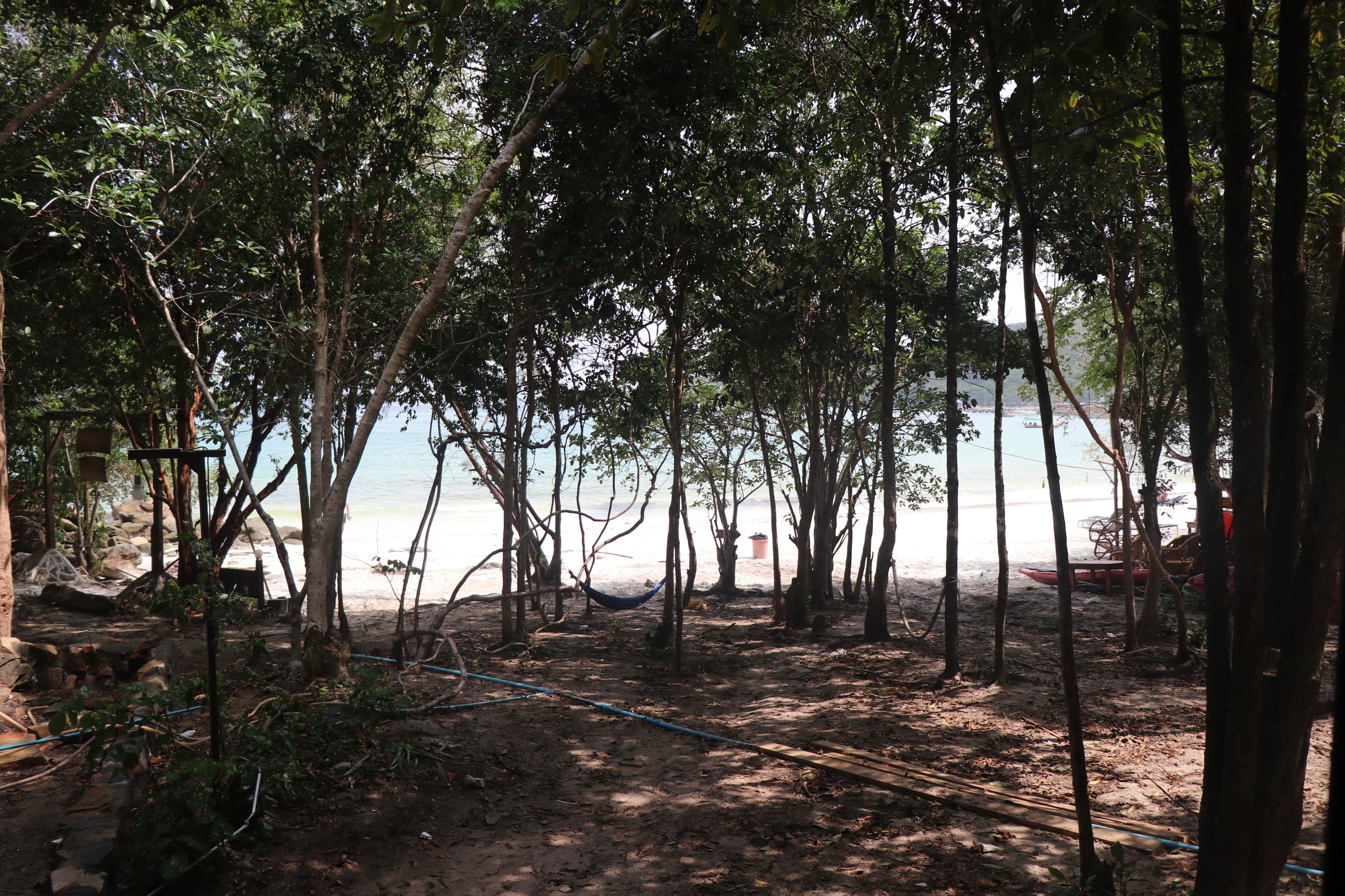 A natural setting with trees, a hammock, and a beach in the background.