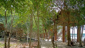 A natural setting with trees, a wooden structure, and a sandy path. - Tree House Bungalows Resort (Koh Rong)