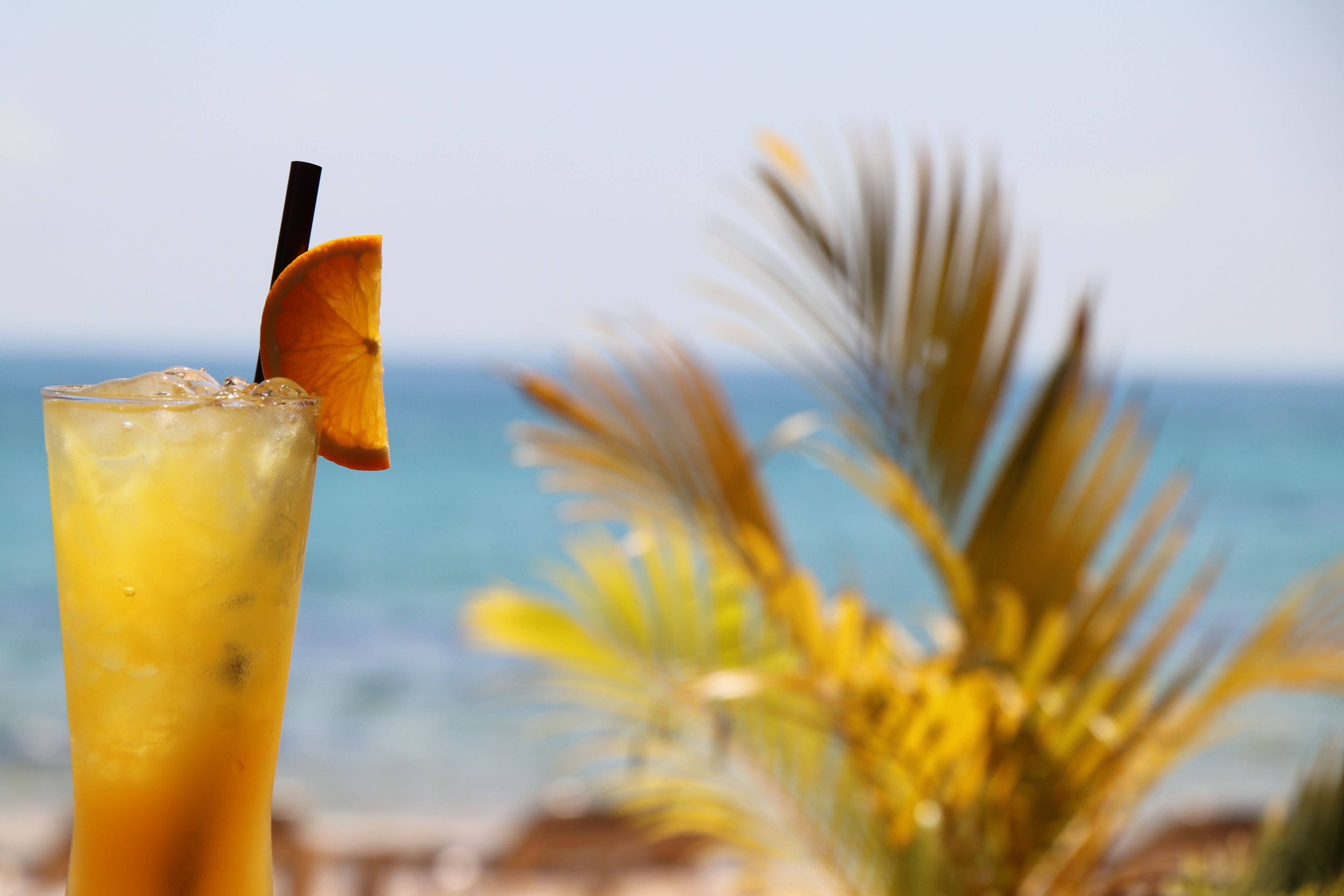 Un vaso alto con pajita y una rodaja de naranja, sobre un fondo borroso de playa y océano.