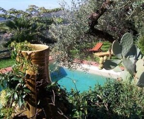 A pool surrounded by lush greenery and a cactus. - La Maison Galu (Itri)