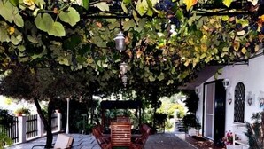 Un patio al aire libre con una mesa y sillas, rodeado de abundante vegetación y faroles colgantes.
