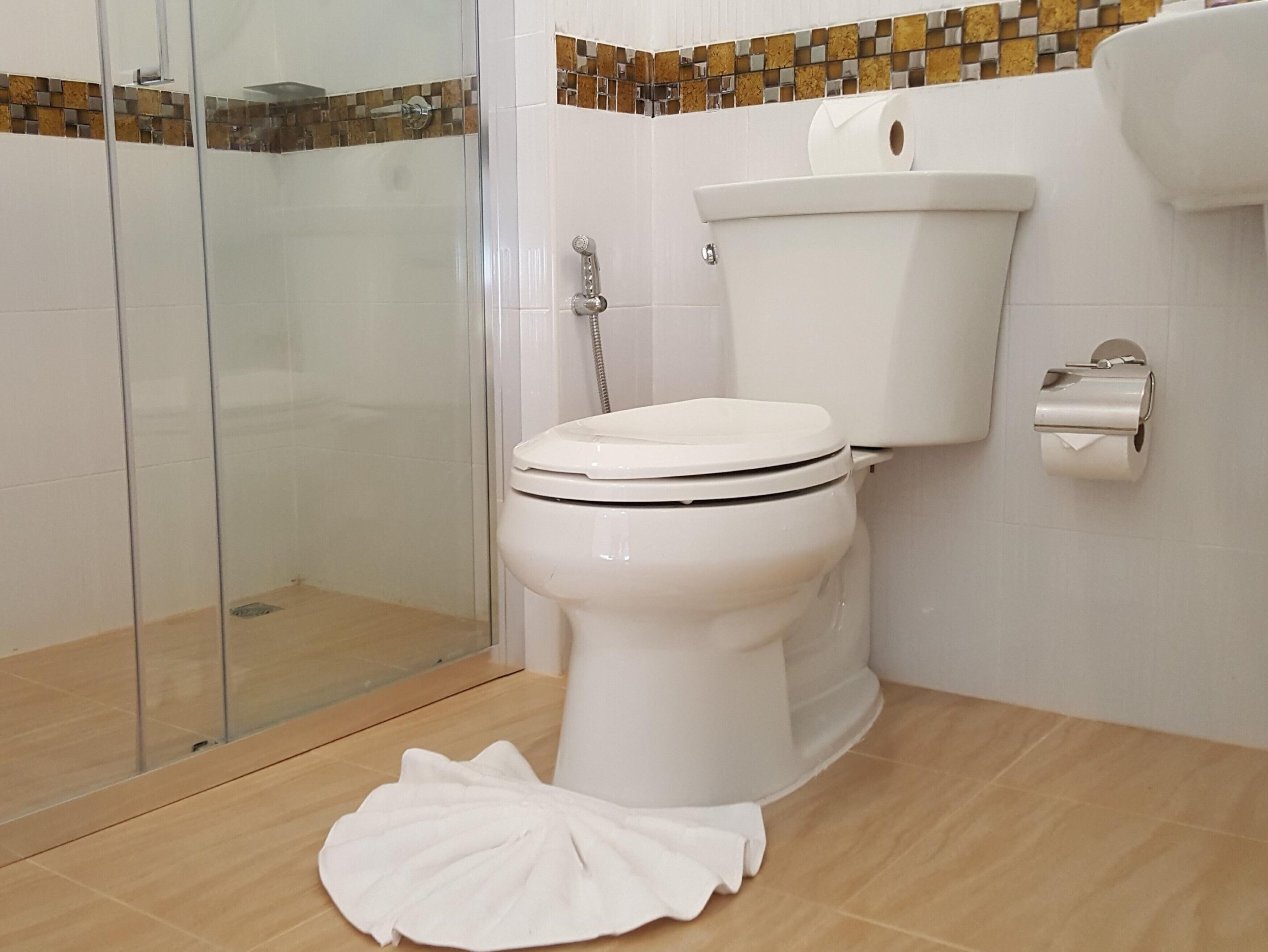 A bathroom with a toilet, a glass shower enclosure, and a towel on the floor.