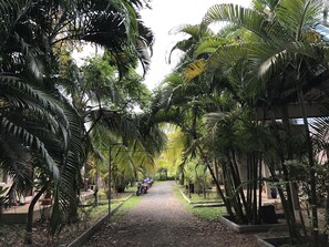 1-Bedroom Villa with Kitchenette | Terras