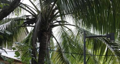 Coconut Bungalow
