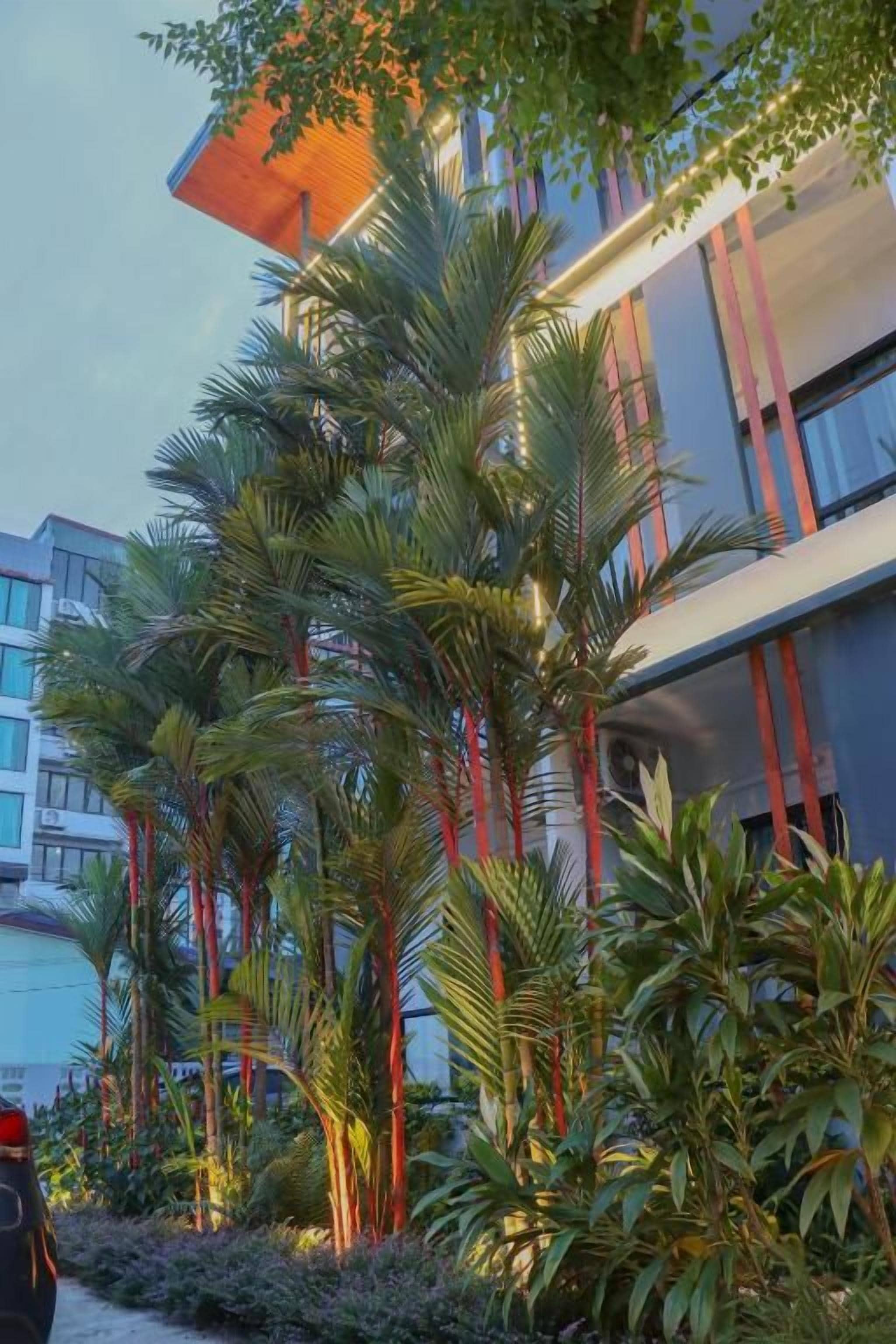 Un edificio moderno con techo plano, rodeado de palmeras y otra vegetación.