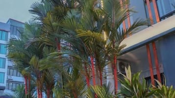 Un edificio moderno con techo plano, rodeado de palmeras y otra vegetación.