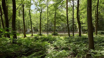 Park view