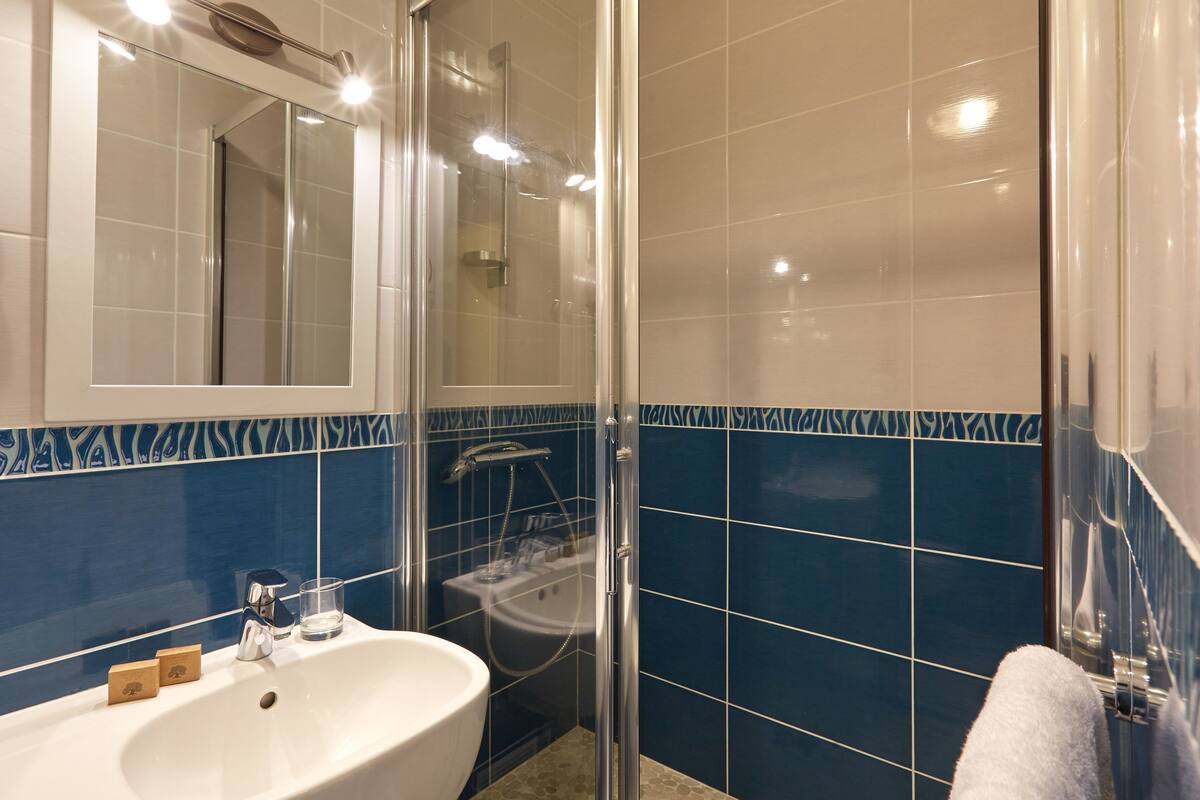 shower, free toiletries, hair dryer, towels