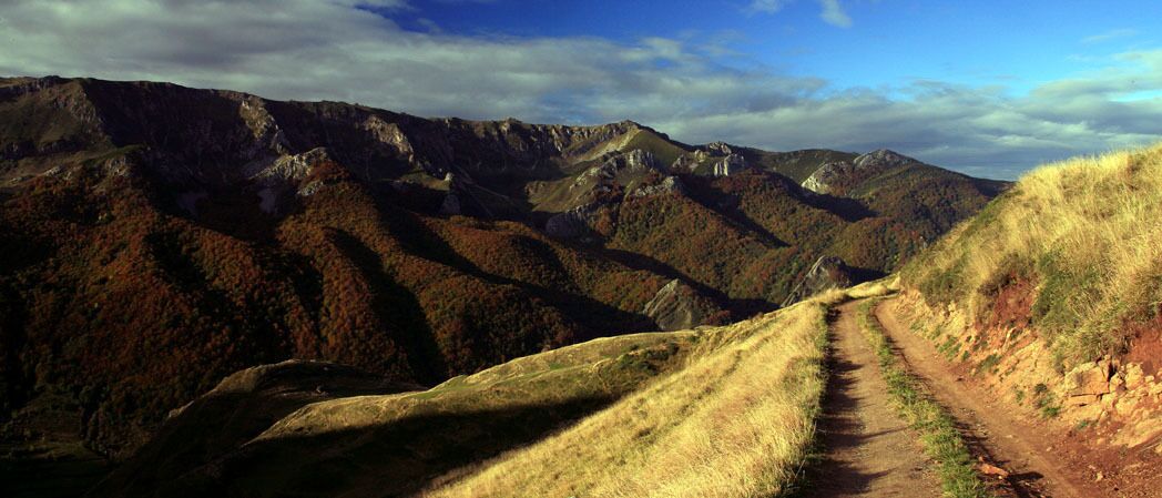 prenatal massages, sports massages, massages