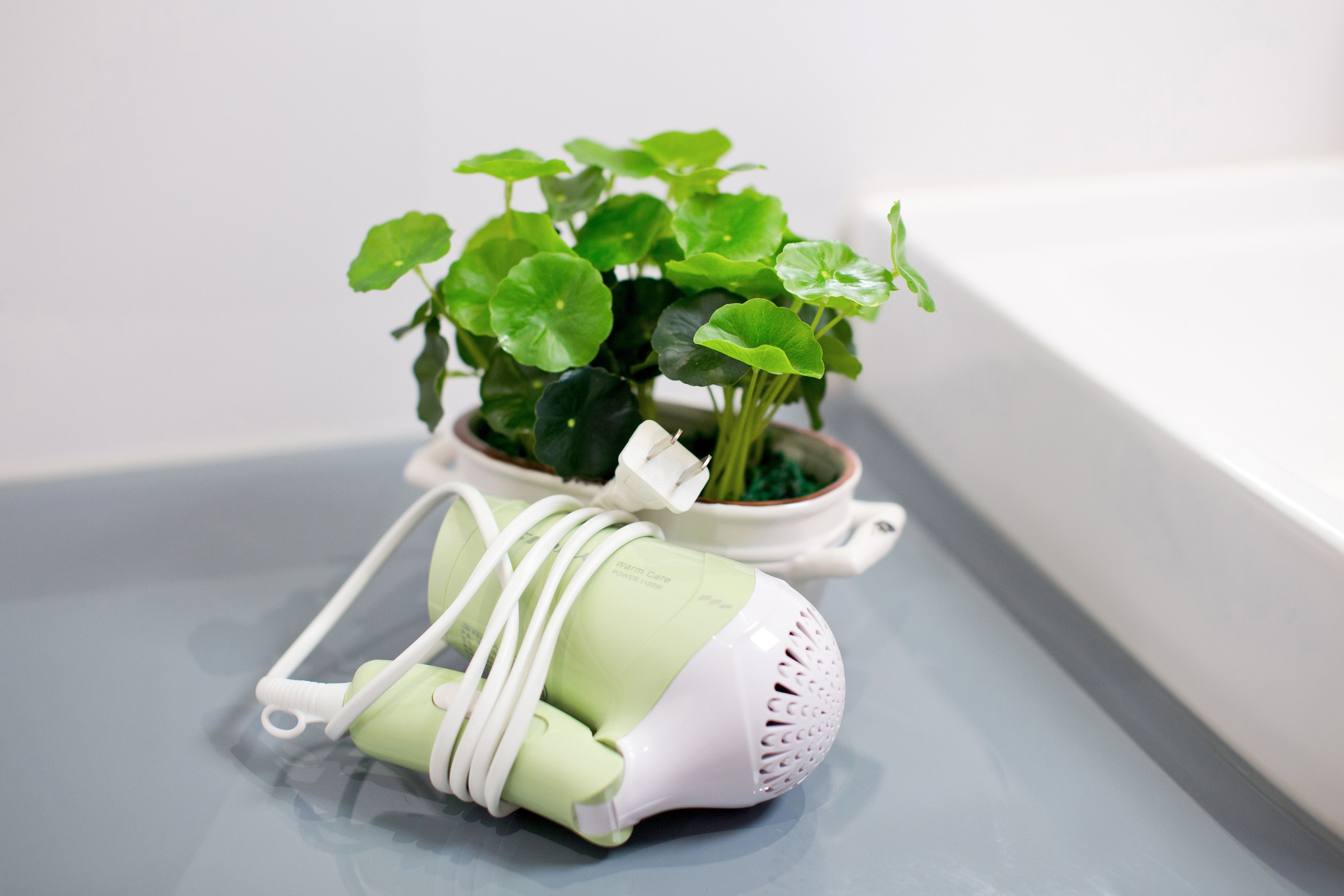 A small potted plant with green leaves and a white object with a cord on a flat surface.