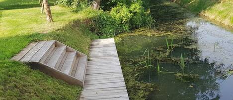 A wooden boardwalk leading to a pond surrounded by lush greenery.