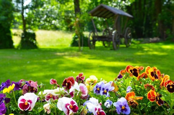 A garden with a variety of flowers and a wooden structure in the background. - Kur- & Wellness Haus Spree Balance (Burg (Spreewald))
